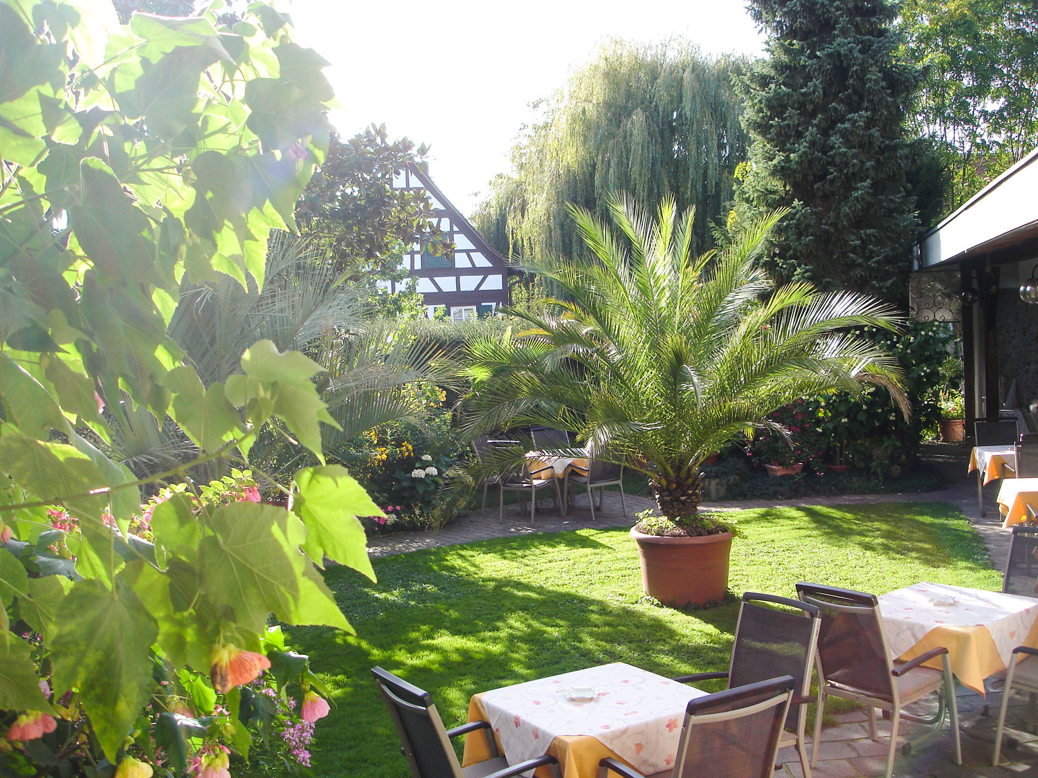 Idyllische Gartenterrasse mit Palmen, Rasen und Fachwerkhaus